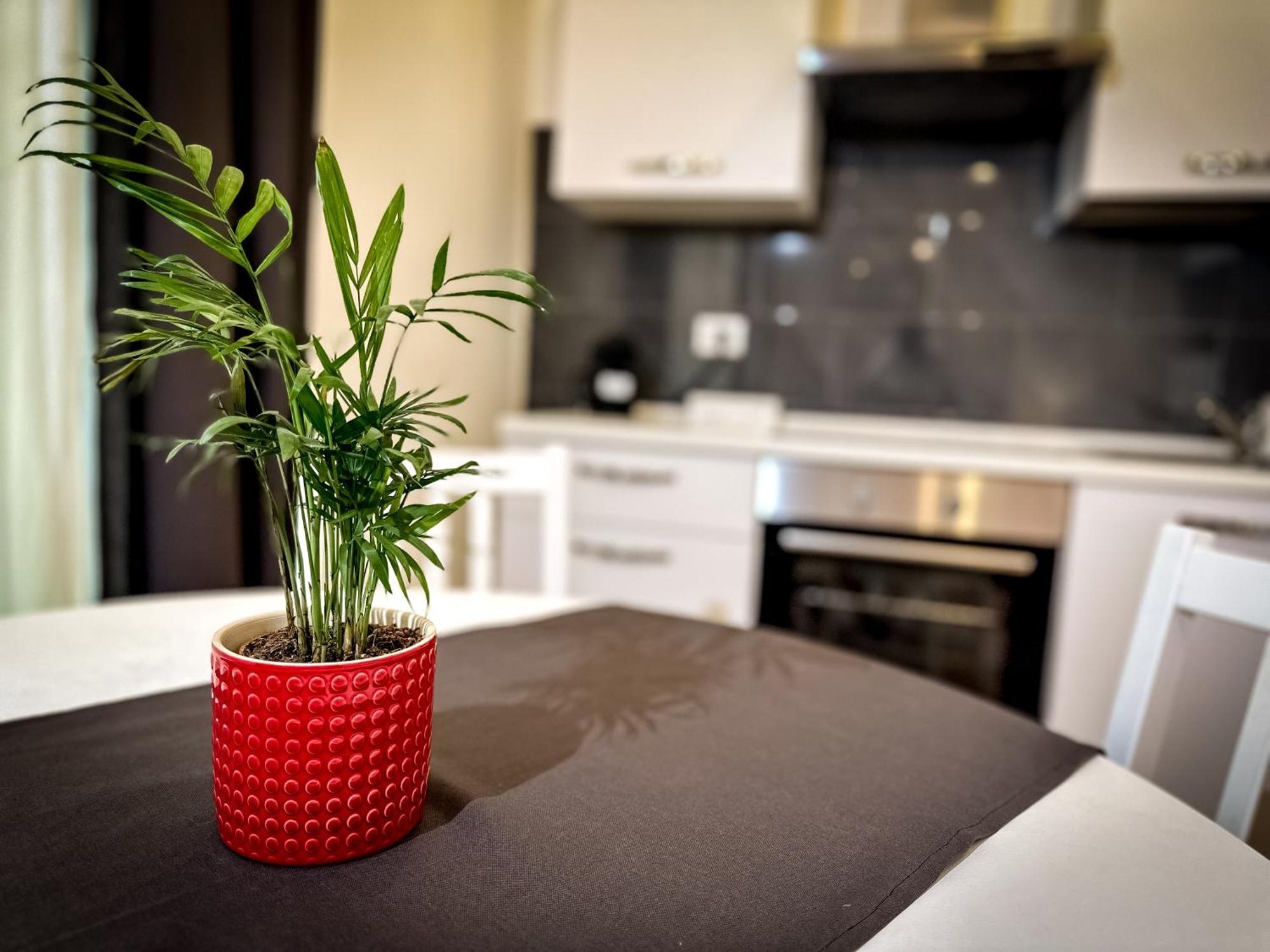 Da Rossella Apartment Rome Exterior photo